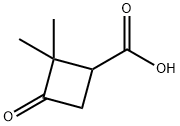 2,2-dimethyl-3-oxocyclobutane-1-carboxylic acid