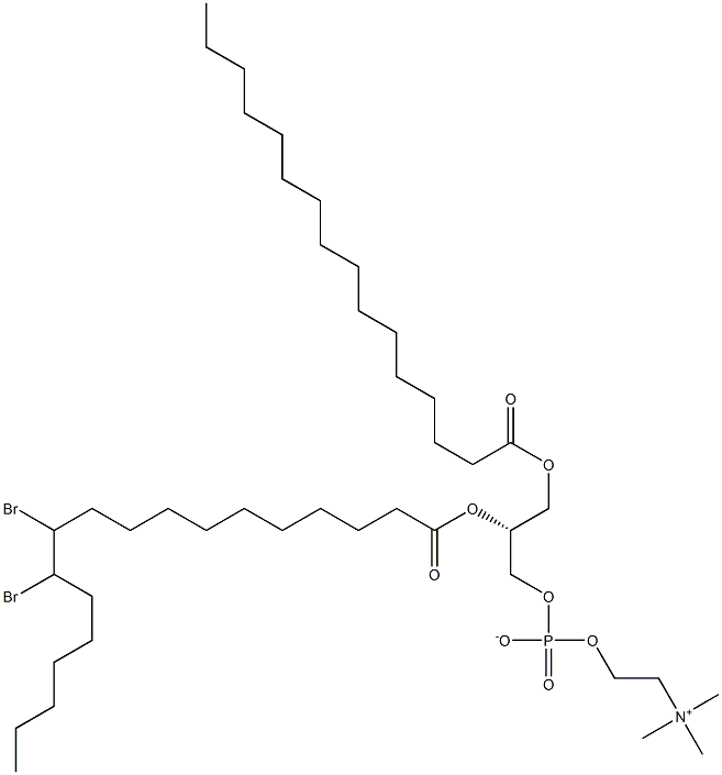 1-palmitoyl-2-(11,12-dibromo)stearoyl-sn-glycero-3-phosphocholine