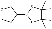 4,4,5,5-Tetramethyl-2-(tetrahydrofuran-3-yl)-1,3,2-dioxaborolane