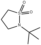 N-t-Butyl-1,3-propanesultam
