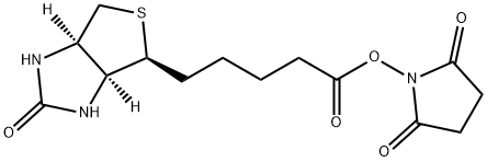 D-Biotin N-Succinimidyl Ester