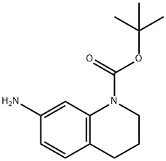tert-Butyl 7-amino-3,4-dihydroquinoline-1(2H)-carboxylate