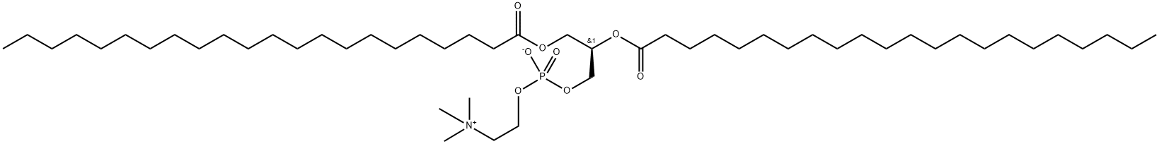 1,2-dibehenoyl-sn-glycero-3-phosphocholine