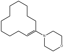1-Morpholino-1-cyclododecene