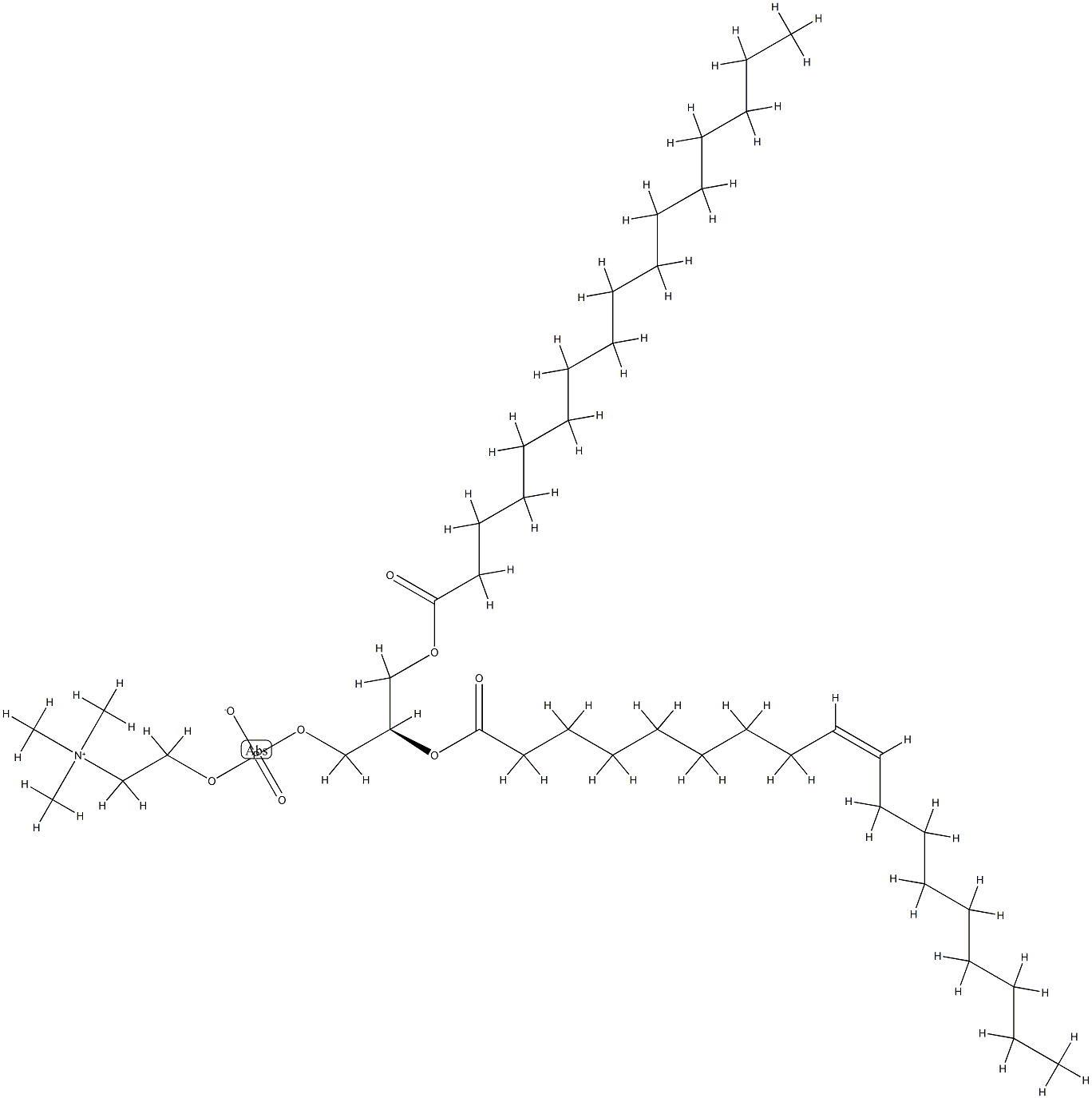 L-α-phosphatidylcholine（brain, bovine）