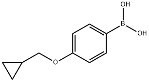 4-(Cyclopropylmethoxy)phenylboronic acid