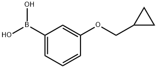 3-(Cyclopropylmethoxy)phenylboronic acid