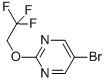 5-Bromo-2-(2,2,2-trifluoroethoxy)pyrimidine