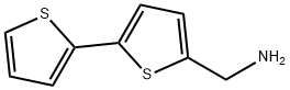 2,2'-Bithiophene-5-Methylamine