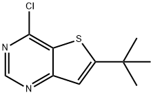 6-tert-butyl-4-chlorothieno[3,2-d]pyrimidine