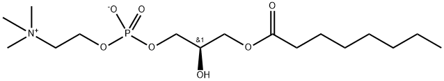 1-octanoyl-2-hydroxy-sn-glycero-3-phosphocholine