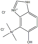 472981-36-5