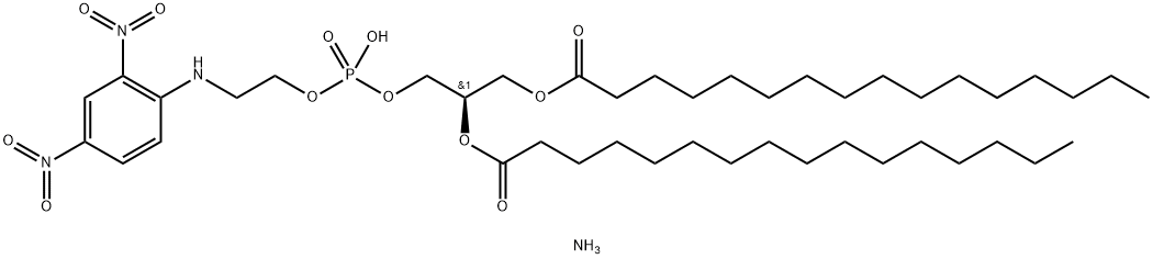 1,2-dipalmitoyl-sn-glycero-3-phosphoethanolamine-N-(2,4-dinitrophenyl) (ammonium salt)