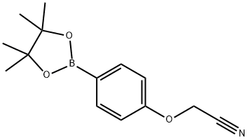 4-Cyanomethoxyphenylboronic acid, pinacol ester