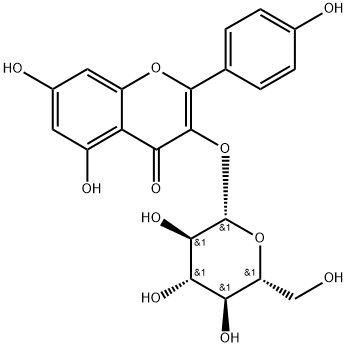 Kaempferol 3-β-D-glucopyranoside