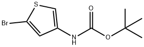 2-Bromo-4-(n-tert-butyloxycarbonylamino)thiophene