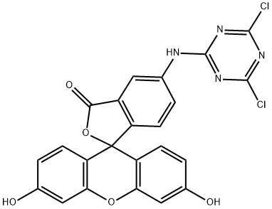 5-(4,6-Dichlorotriazinyl)aminofluorescein