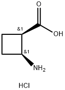 cis-2-aminocyclobutane-1-carboxylic acid hydrochloride