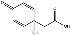 55604-87-0