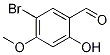 57543-36-9