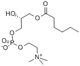 1-hexanoyl-2-hydroxy-sn-glycero-3-phosphocholine