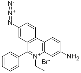 EMA [Ethidium monoazide bromide]