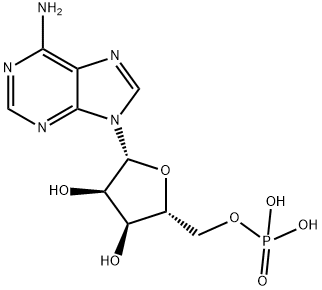 5'-Adenylic Acid