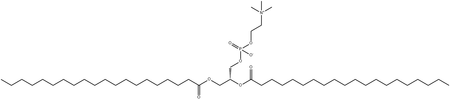 1,2-diarachidoyl-sn-glycero-3-phosphocholine