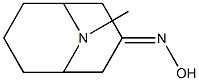 9-methyl-9-azabicyclo[3.3.1]nonan-3-one oxime