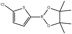 2-(5-Chlorothiophen-2-yl)-4,4,5,5-tetramethyl-1,3,2-dioxaborolane