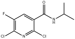 2,6-Dichloro-5-fluoro-N-isopropylnicotinamide