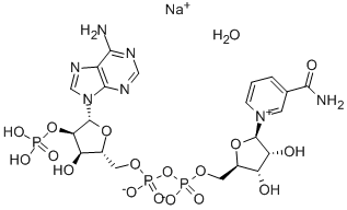 Triphosphopyridine nucleotide sodium salt hydrate
