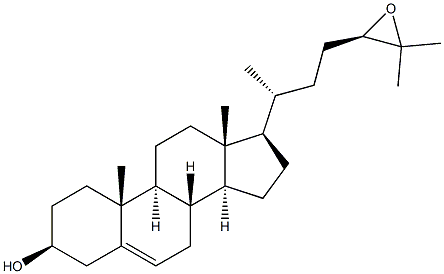 24(R/S),25-epoxycholesterol