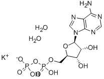 Adenosine 5′-diphosphate monopotassium salt dihydrate