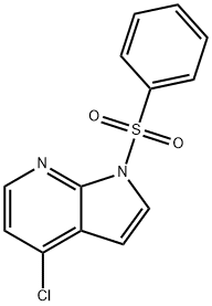 1-(benzenesulfonyl)-4-chloro-1H-pyrrolo[2,3-b]pyridine