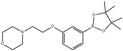 3-(2-Morpholinoethoxy)phenylboronic acid, pinacol ester