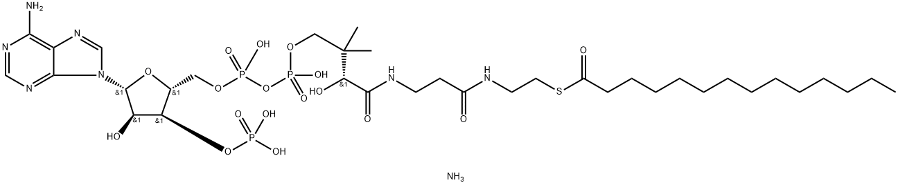 myristoyl Coenzyme A (ammonium salt)