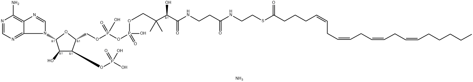 (5Z,8Z,11Z,14Z-eicosatetraenoyl) Coenzyme A (ammonium salt)