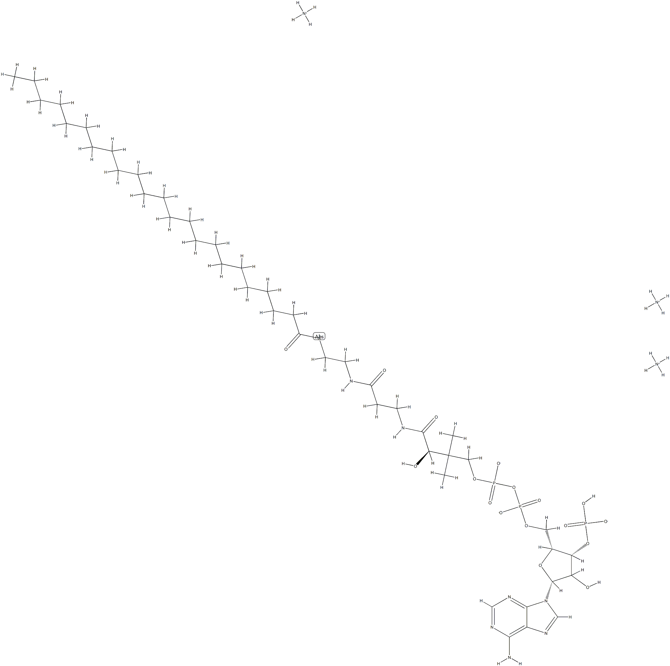 tricosanoyl Coenzyme A (ammonium salt)