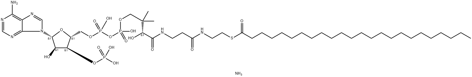 lignoceroyl Coenzyme A (ammonium salt)