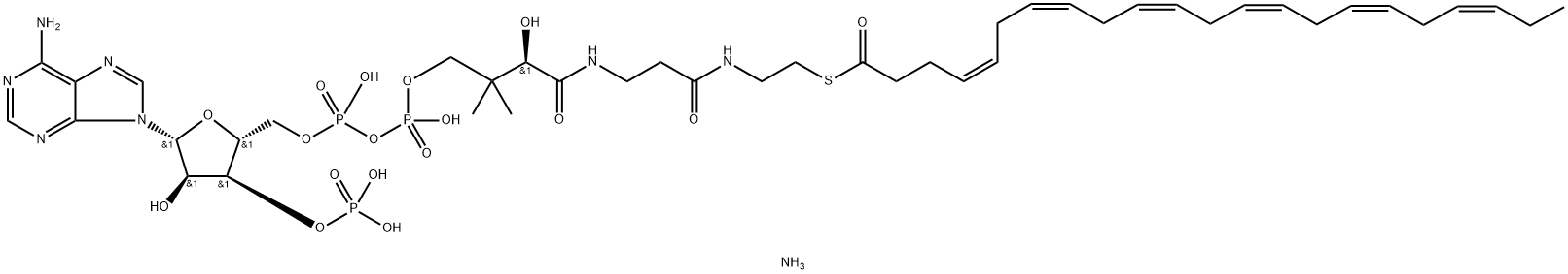 docosahexaenoyl Coenzyme A (ammonium salt)