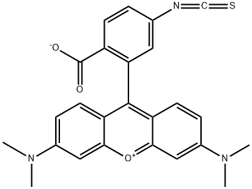 6-TRITC, R-isomer [Tetramethylrhodamine-6-isothiocyanate]