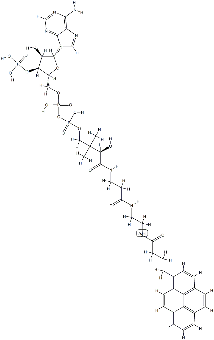 1-pyrenebutanoyl Coenzyme A (ammonium salt)