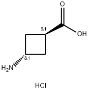 trans-3-amino-cyclobutanecarboxylic acid hydrochloride