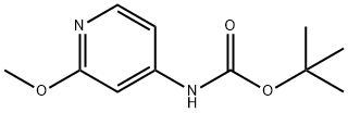 (2-Methoxy-pyridin-4-yl)-carbamic acid tert-butyl ester