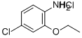 4-Chloro-2-ethoxyaniline, HCl