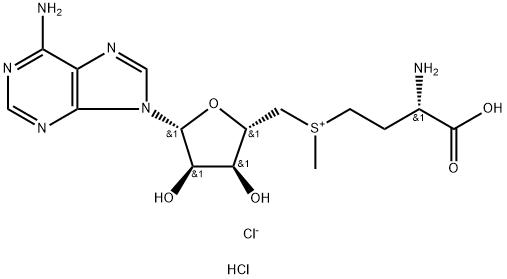 S-(5′-Adenosyl)-L-methionine chloride dihydrochloride