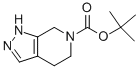t-Butyl 4,5-Dihydro-1H-pyrazolo[3,4-c]pyridine-6(7H)-carboxylate