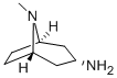 endo-8-methyl-8-azabicyclo[3.2.1]octan-3-amine