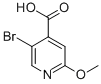 5-Bromo-2-methoxy-isonicotinic acid